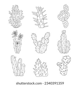 hand drawn cactus illustration. Vector Illustration. cacti with flowers. Set of cactuses. isolated on white background. cactus outline sketch. cactus drawing. cactus plants line art background.