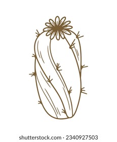 hand drawn cactus illustration. Vector Illustration. cacti with flowers. Set of cactuses. isolated on white background. cactus outline sketch. cactus drawing. cactus plants line art background.