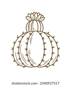 hand drawn cactus illustration. Vector Illustration. cacti with flowers. Set of cactuses. isolated on white background. cactus outline sketch. cactus drawing. cactus plants line art background.
