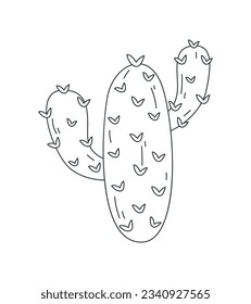 hand drawn cactus illustration. Vector Illustration. cacti with flowers. Set of cactuses. isolated on white background. cactus outline sketch. cactus drawing. cactus plants line art background.