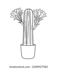 hand drawn cactus illustration. Vector Illustration. cacti with flowers. Set of cactuses. isolated on white background. cactus outline sketch. cactus drawing. cactus plants line art background.