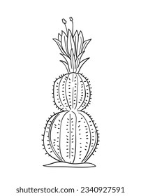 ilustración de cactus dibujada a mano. Ilustración vectorial. cactus con flores. Conjunto de cactús. aislado de fondo blanco. esbozo de contorno de cactus. dibujo de cactus. las plantas de cactus bordean el fondo del arte.