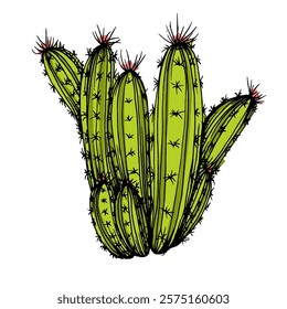 Hand drawn cactus illustration. Vector Illustration. Cacti with flowers