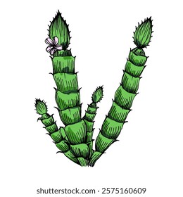 Hand drawn cactus illustration. Vector Illustration. Cacti with flowers