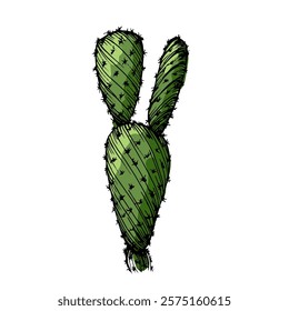 Hand drawn cactus illustration. Vector Illustration. Cacti with flowers