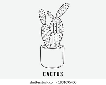 Hand drawn cactus. Indoor plant in a Jar. Scandinavian style illustration with cactus, modern and elegant home decor. Vector poster design.	