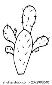  Hand drawn cactus isolated on white background. Vector illustration.