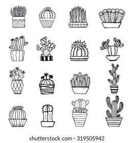 Hand drawn cactus isolated on white background