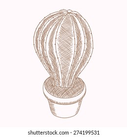 Hand drawn cactus in a pot, Echinopsis oxigona, cute flower sketch, vector illustration