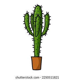 Hand drawn cactus in the pot isolated on white background.