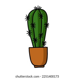 Hand drawn cactus in the pot isolated on white background.