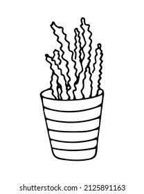 Hand drawn cactus in the pots. Vector illustration black and white home plants.