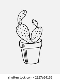 Hand drawn cactus in the pots. Vector illustration black and white home plants.