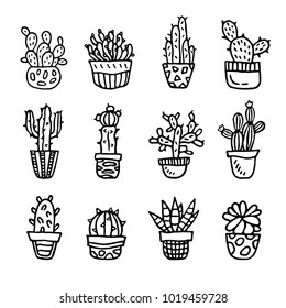 Hand drawn cactus in pretty pots. Set in vector