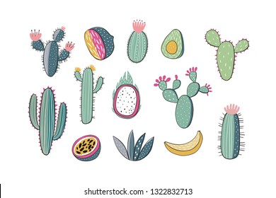 Hand drawn cactus print. Summer print with cactus and fruit - lemon, passion fruit, banana, dragon fruit