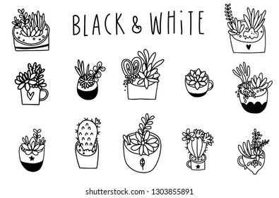 Hand drawn cactus print. Vector set with various hand drawn outline cactuses in flowerpots.