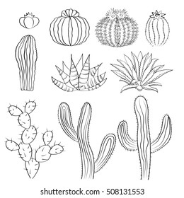 Prickly Pear Cactus Sketch Images Stock Photos Vectors Shutterstock