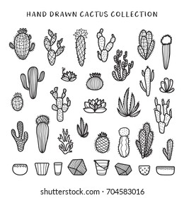 Hand drawn cactus set. Decorative floral design elements for prints, patterns, decoration needs. Vector doodle vintage illustration.