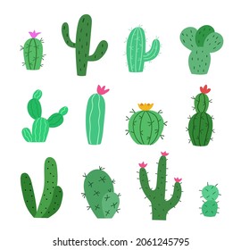 Hand drawn cactus set. Desert spiny and tropical home plants collection. Vector illustration.