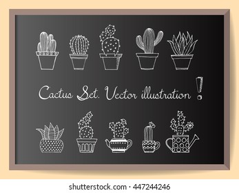 Hand drawn cactus set in simple doodle style on chalkboard. Potted cacti collection. Decorative houseplants. Vector illustration.