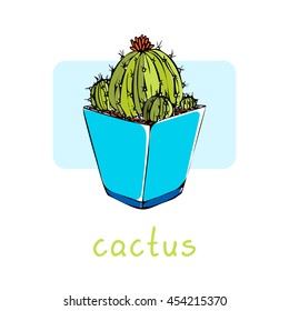 Hand drawn cactus in square pot isolated on white background. Vector illustratin.