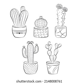 Hand drawn cactus and succulent collection. Cactus sketches vector hand drawn illustration. Decorative cactus collection which perfect for print, poster, greeting cards, invitations and scrapbooking.