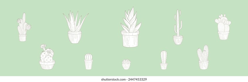 Hand Drawn Cactus and Succulent Plant Growing in Pot Vector Set