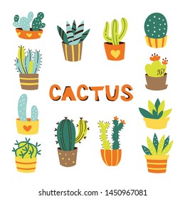 Hand Drawn Cactus and Succulents Isolated on White Background 