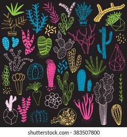 Hand drawn cactus and succulents. Vector set with succulents flowers, concrete pots and glass terrariums. Vector illustration.