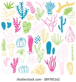 Hand drawn cactus and succulents. Vector set with succulents flowers, concrete pots and glass terrariums. Vector illustration.