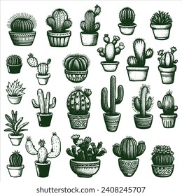 Hand Drawn cactus vector illustration. A set of vector illustration linear cactuses. Cactus vector illustrations. Hand drawn outline cactus set.