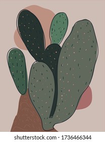 hand drawn cactus vector minimalist style