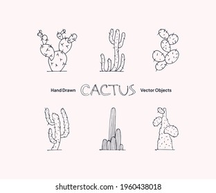 Hand drawn cactus vector objects collection