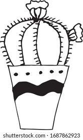 Hand drawn cactus without background.