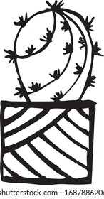 Hand drawn cactus without background.