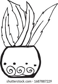 Cactus dibujados a mano sin fondo.