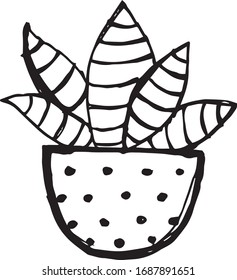 Hand drawn cactus without background.