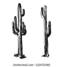 Hand drawn cactuses. Desert plants vector illustration. Black isolated on white background. 