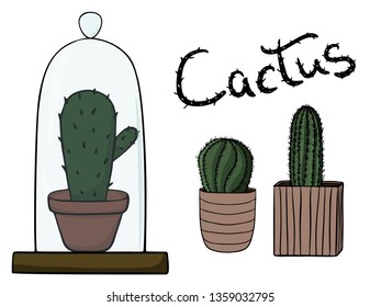 hand drawn cactuses in pots with lettering vector isolated