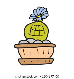 Hand drawn, cactus-succulents, Botanical design .Vector illustration on a white isolated background.Form for banners, postcards.nature