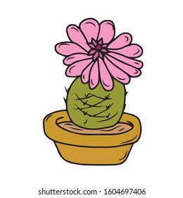 Hand drawn, cactus-succulents, Botanical design .Vector illustration on a white isolated background.Form for banners, postcards.nature