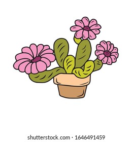 Hand drawn, cactus-succulents, Botanical design .Vector illustration on a white isolated background.Form for banners, postcards.nature