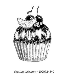 Hand drawn cake dessert with cherry and berries and citrus fruit. Vector illustration.