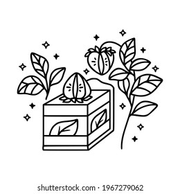 hand drawn cake, pastry and bakery elements with strawberry and floral illustrations for food logo, brand, sticker, children coloring page, book, or product decoration