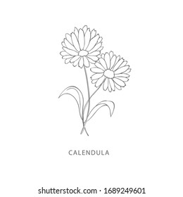 1,208 Calendula icon Images, Stock Photos & Vectors | Shutterstock