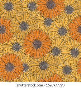 Hand drawn calendula flowers. Vector  seamless pattern