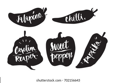 Hand drawn Caligraphy in silhouette chilli, My jalapeno, chilli, carolina reaper, sweet peppers, paprika, icon or logo. Lettering, calligraphy vector illustration.