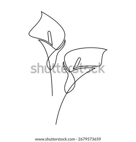 Hand drawn calla lily flower vector. Linear icon. Line continuous drawing. Floral design, botanical print, card, wall art poster, logo, sign, doodle, symbol. Abstract cartoon plant illustration