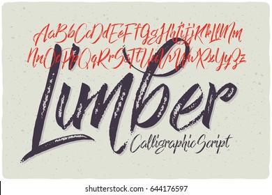Hand drawn calligraphic font made with dry brush textured effect