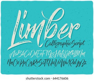 Hand Drawn Calligraphic Font Made With Dry Brush Textured Effect